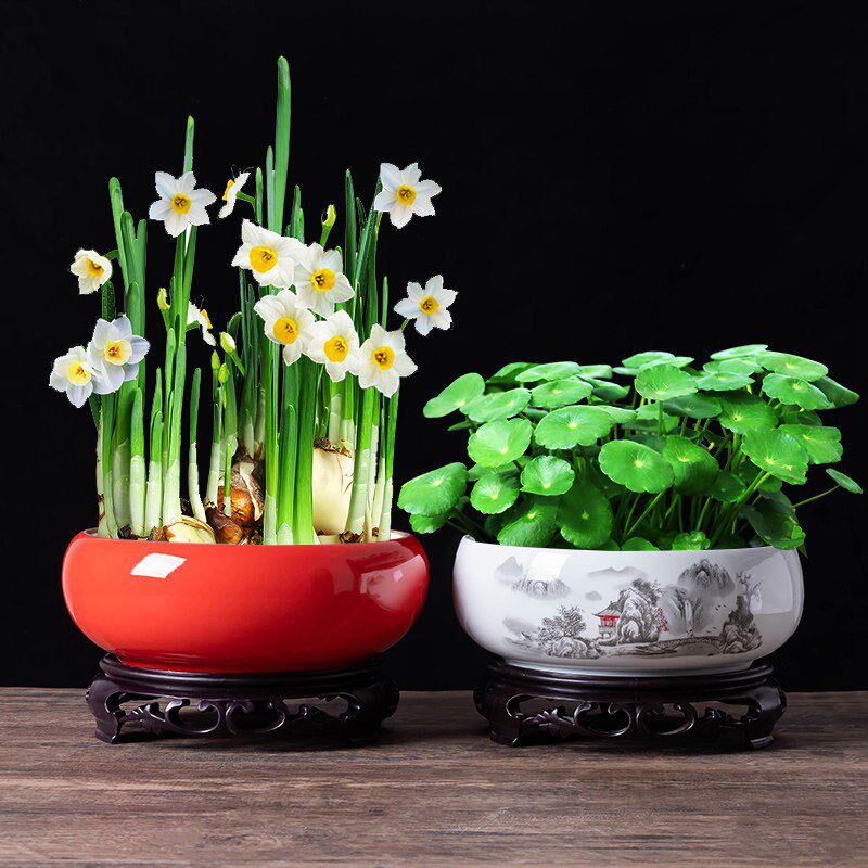 花盆陶瓷铜钱专用花盆睡莲碗莲水培器皿金钱草养花植物容器水仙缸