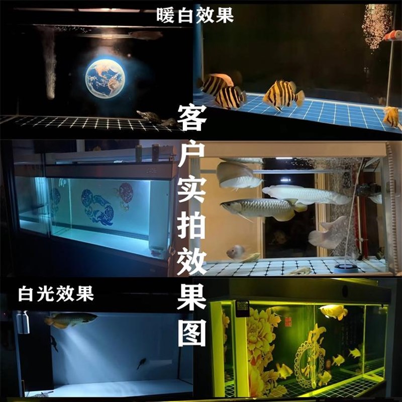 LED防水鱼缸灯龙鱼虎鱼专用USB小夜灯柔光防撞防掉眼白光暖黄光图片