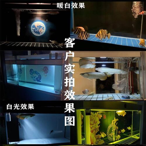 LED防水鱼缸灯龙鱼虎鱼专用USB小夜灯柔光防撞防掉眼白光暖黄光