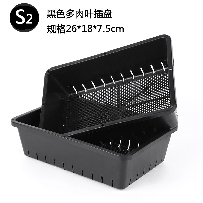 种植盘苗盘芽苗盘石斛盘长方盘育苗托盘正方盘芽菜盘育苗盘包邮