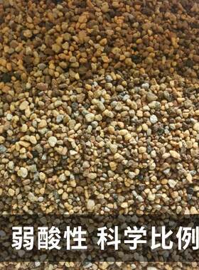 乔咖园艺 精品多肉颗粒土 5斤 送泥炭土100克 累积买10送1