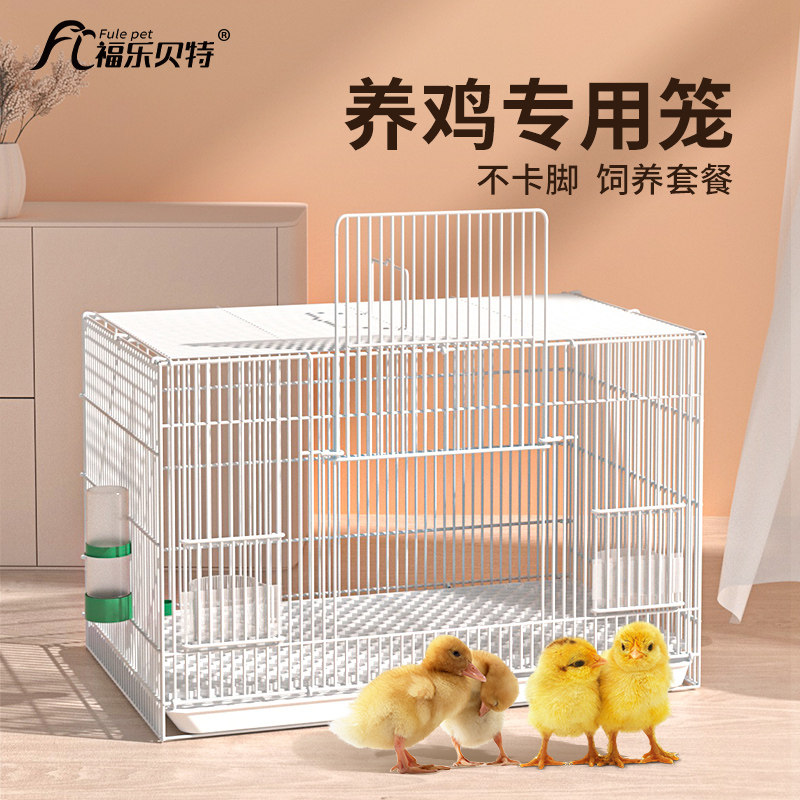 养小鸡笼子家用芦丁鸡宠物柯尔鸭子专用饲养箱室内大号鸽子养殖笼图片