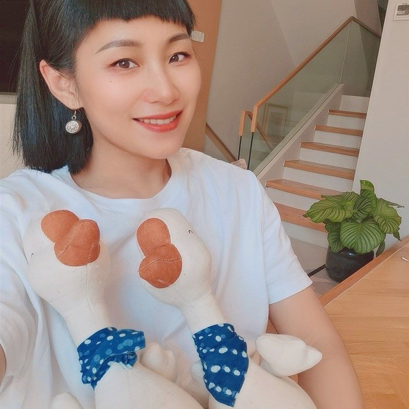 布缘记守财鹅玩偶布艺手作手办土布手工家居摆设