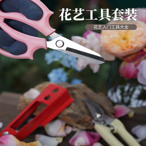 不锈钢修枝剪果树园艺花艺果园花材工具家用修枝剪花专用剪刀套装