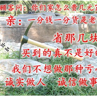 锰钢镐头大号军钢镐锻打十字镐鹤嘴小锄头挖笋小镐户外木质小洋镐