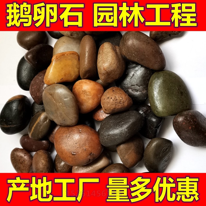 鹅卵石彩色抛光雨花石黑色大石头园林绿化工程铺地路阳台园艺庭院