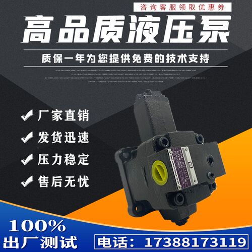 变量叶片泵DVP1-12-70,DVP2-15-A-10,DVP1-20-B,DVP2-20-35,30/40