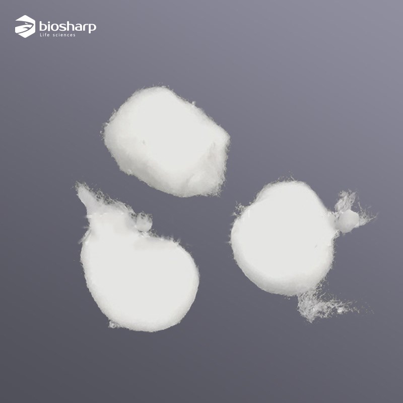 Biosharp白鲨 脱脂棉球 科研实验卫生消毒棉球干棉花球 500g/包