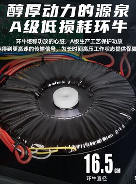 得普声 专业后级功放机 舞台演出唱歌会议婚庆K歌酒吧大功率GA550