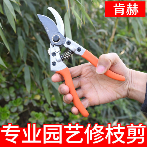 肯赫园林园艺修枝剪树枝剪刀省力园艺剪刀手动果树花艺修花剪粗枝