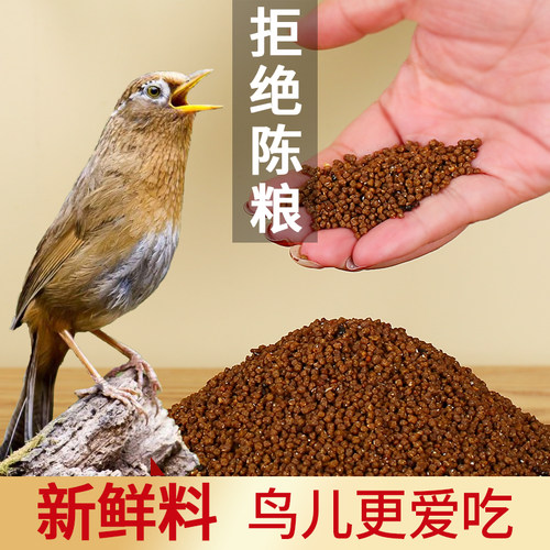 雷公山画眉鸟食饲料提性壮膘稳笼料手工唱鸟斗鸟料画眉鸟粮饲料