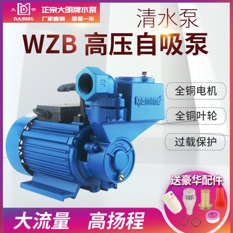 正宗大明牌自吸泵家用管道增压泵循环泵自来水热水器增压泵抽水泵
