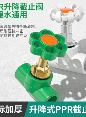 ppr截止阀4分20 25 32水管开关升降式阀门 6分加厚铜芯止水阀配件