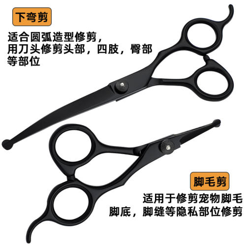 新手安全宠物美容剪刀狗狗专用修毛弯剪狗毛工具套装专业剪毛神器