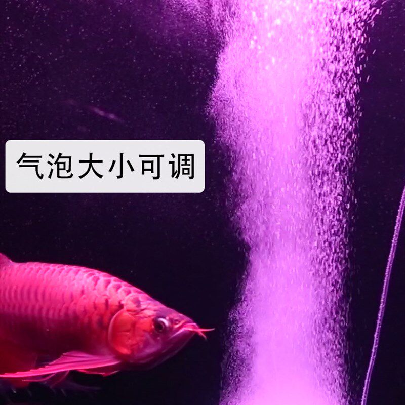 老渔匠纳米气泡石气盘静音细化器爆氧雾化气条气管气盘石纳米气盘