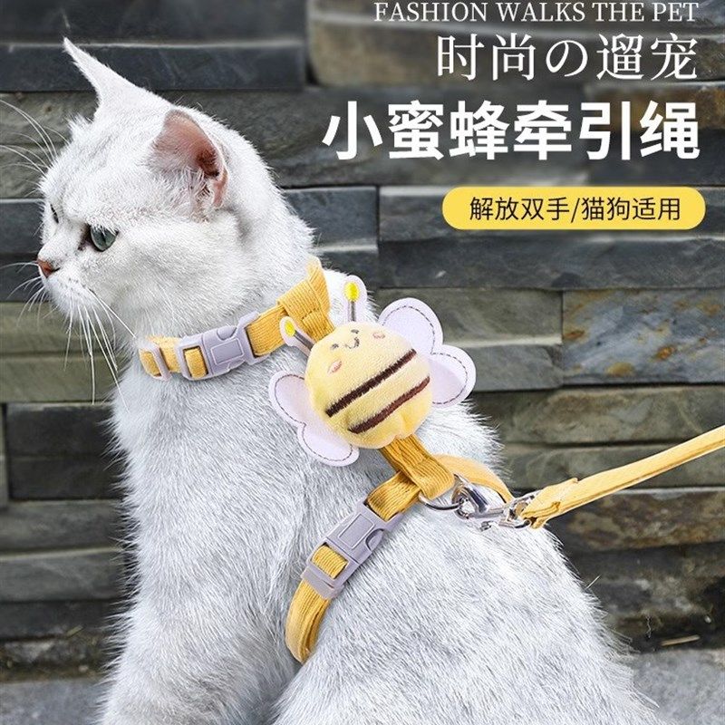网红猫咪牵引绳外出专用防挣脱遛猫绳溜猫狗狗工字形防丢可爱胸背图片