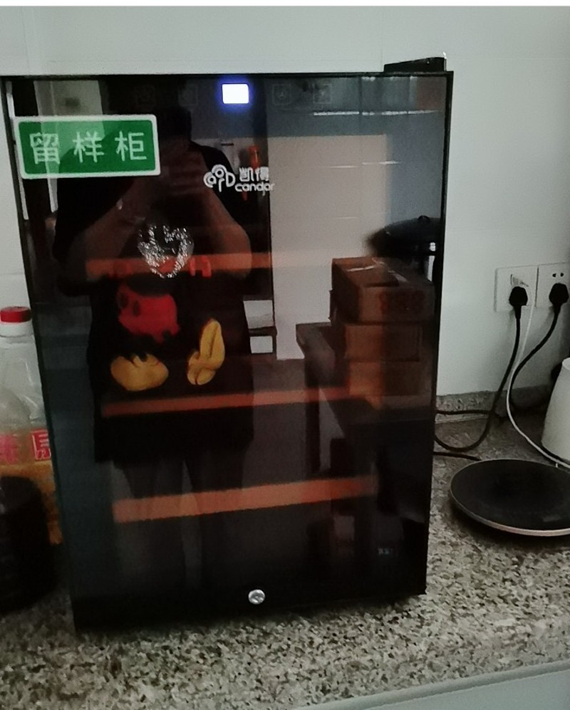 幼儿园食品留样柜小型冷柜冷藏保鲜柜迷你酒店客房用小冰箱带锁