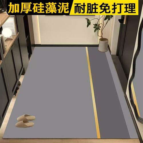 新款入户门地垫进门硅藻泥玄关卫生间吸水防滑可裁剪耐脏家用脚垫