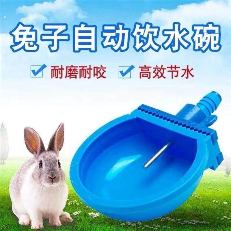 兔子饮水碗自动饮水器兔用饮水嘴水槽喂水器兔子喝水盒自动喝水器