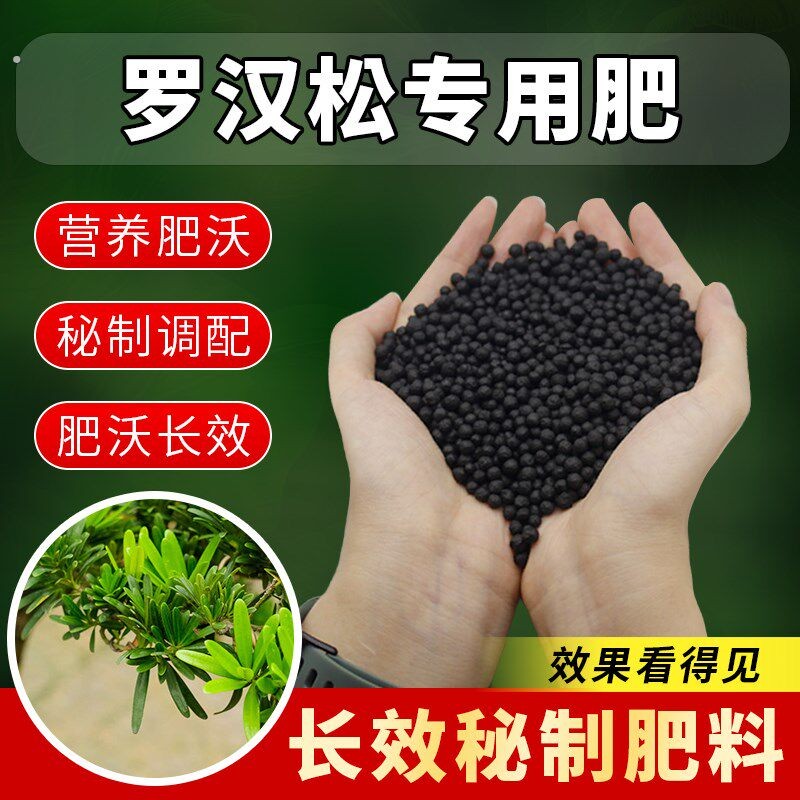 罗汉松专用肥料盆栽喜酸植物罗汉松肥料防黄落枯叶烂黑根腐颗粒肥