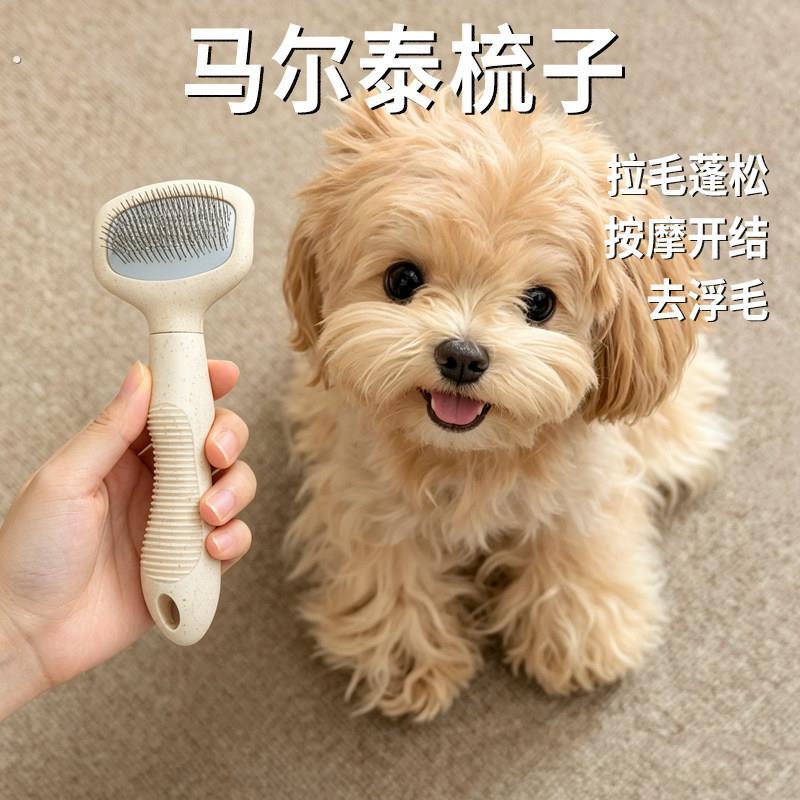 马尔泰梳子超小体狗专用小型犬拉毛蓬松神器去浮毛按摩开结针梳