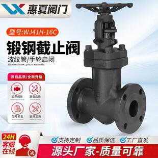 上海WJ41H锻钢法兰波纹管截止阀温蒸汽导热油A105不锈钢04