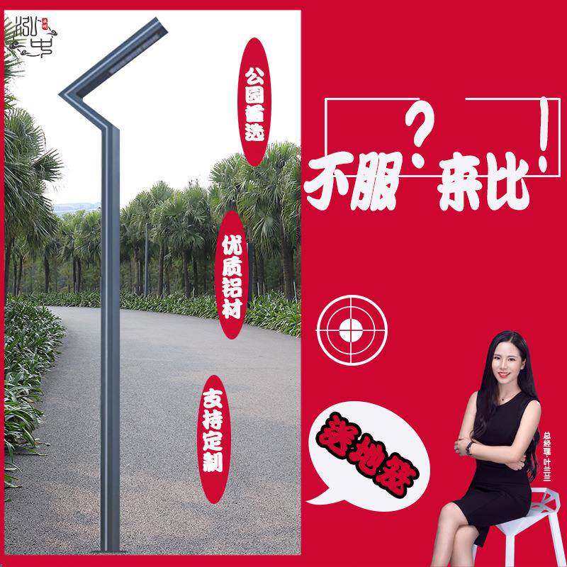 了字铝型材50w模组光源3.5米led景观灯含地笼户外侧发光花园灯