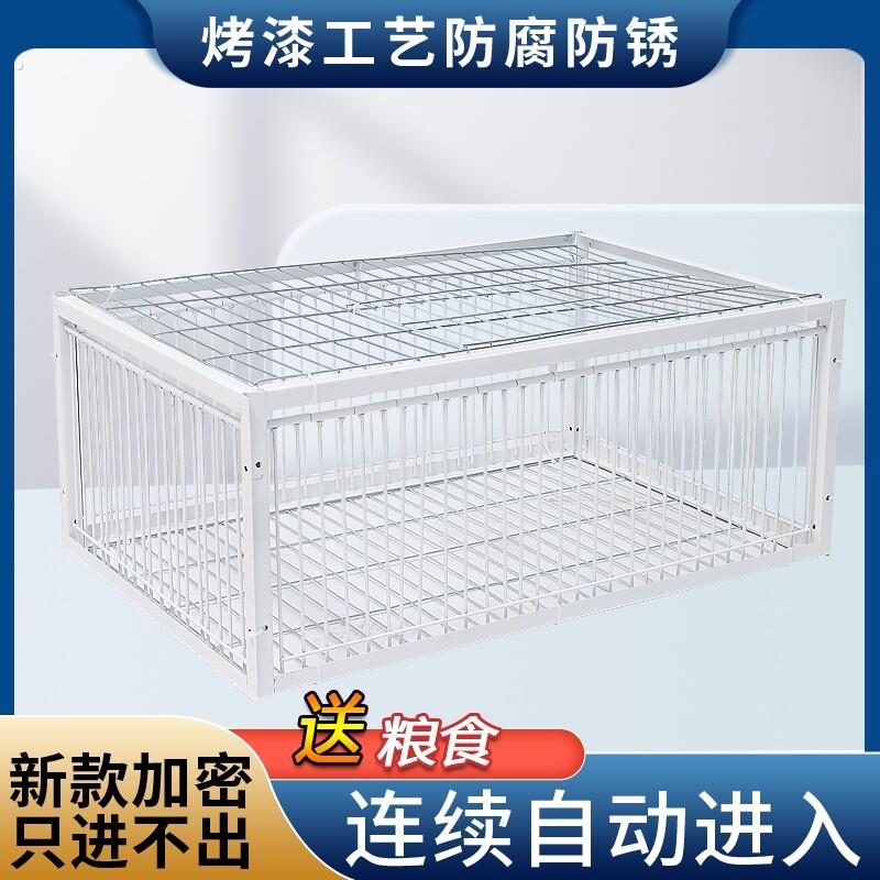 鸽子笼只进不出天落笼加密收鸽笼活络门撞门笼户外自动收鸽子神器图片