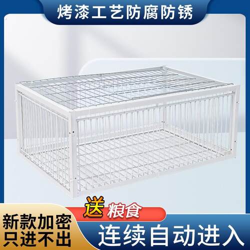 鸽子笼只进不出天落笼加密收鸽笼活络门撞门笼户外自动收鸽子神器