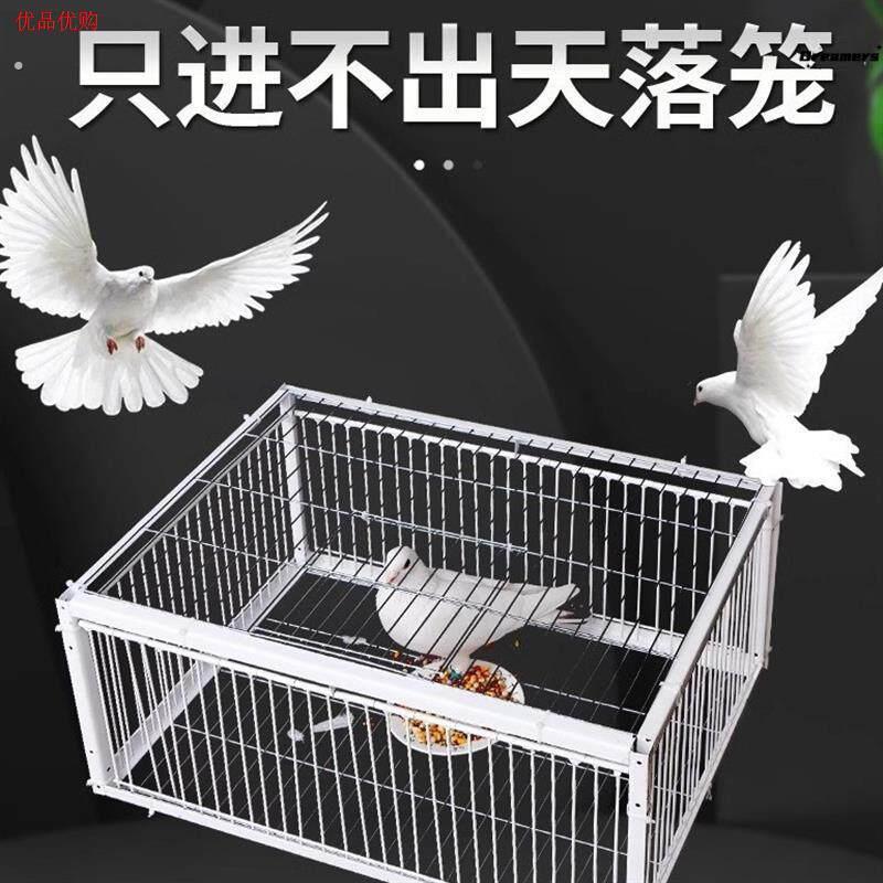 只进不出加密全自动天落笼子撞门户外收鸽子神器加密可连续用厂家