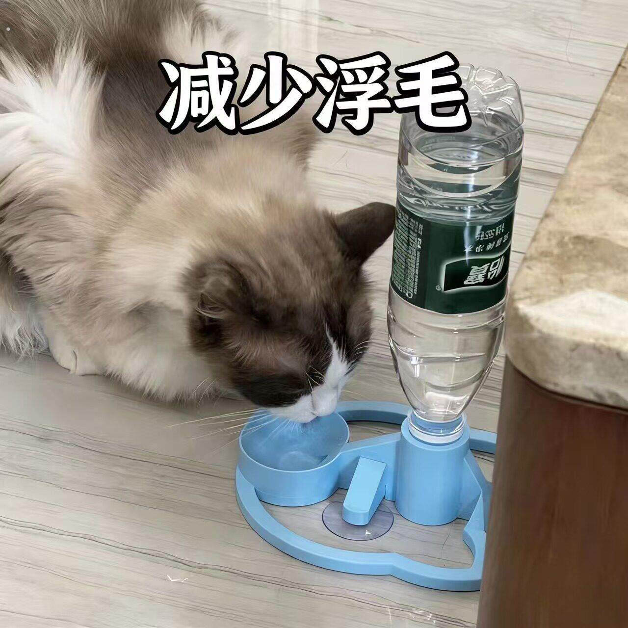 猫咪饮水机防止玩水自动循环猫爪可挂笼不插电可调高度底部防滑稳