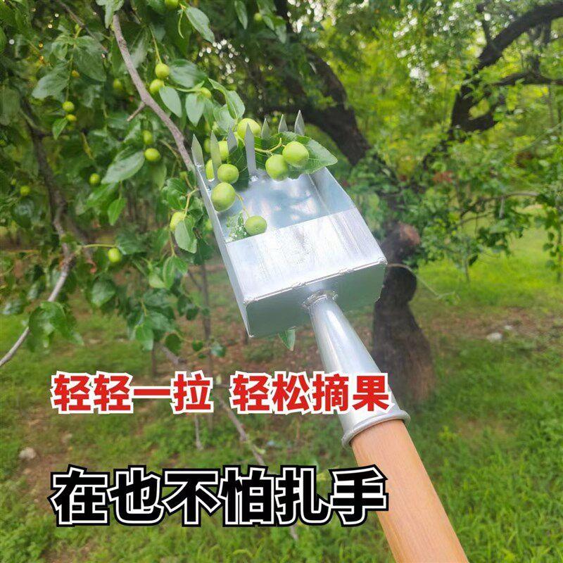 摘酸枣神器摘果子柏籽摘枣工具采摘器快速摘蓝莓摘果神器工具