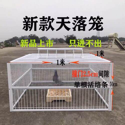 鸽子诱捕器天落笼只进不出鸽子笼加密收鸽笼活络门户外自动收鸽器