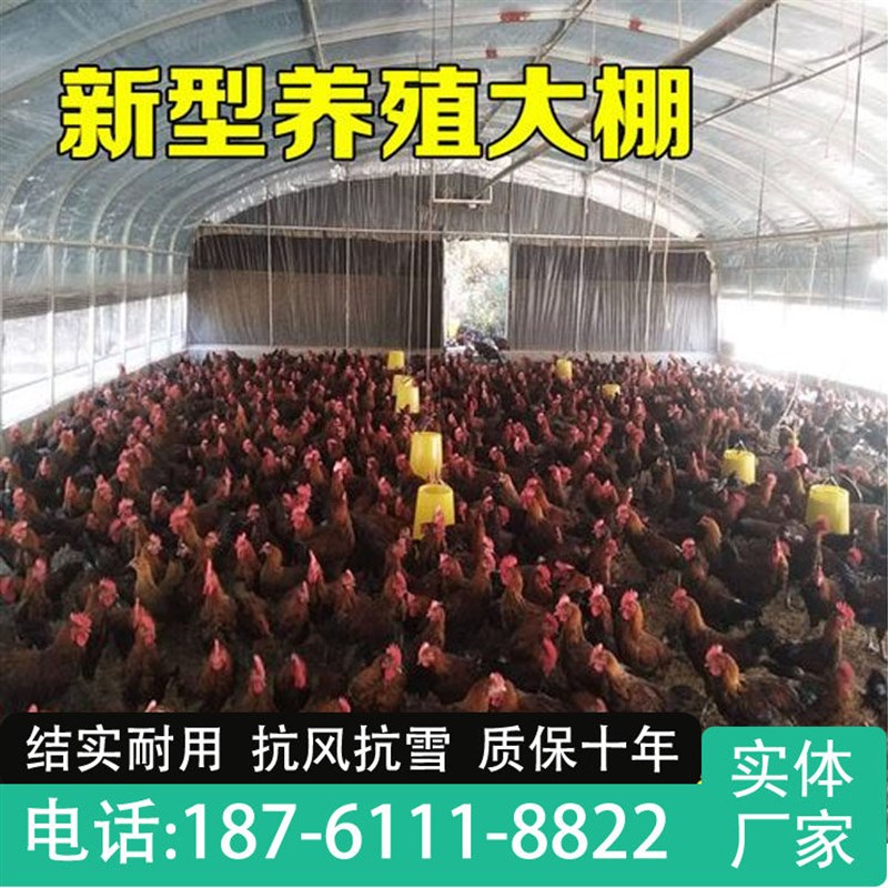 养殖大棚骨架钢管蔬菜种植猪鸡舍牛棚羊圈仓库椭圆管温室大棚全套