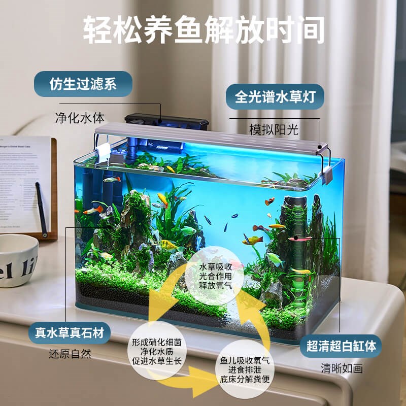 鱼缸水族箱客厅小型迷你桌面免换水生态造景小金鱼缸热弯超白玻璃