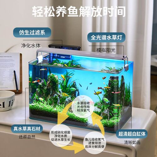 鱼缸水族箱客厅小型迷你桌面免换水生态造景小金鱼缸热弯超白玻璃