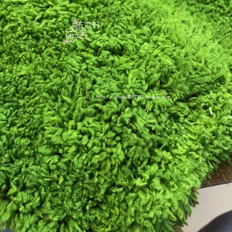 仿真青苔藓婚庆森系布景盆栽不掉毛防晒绒面工程绿化园艺打底草坪