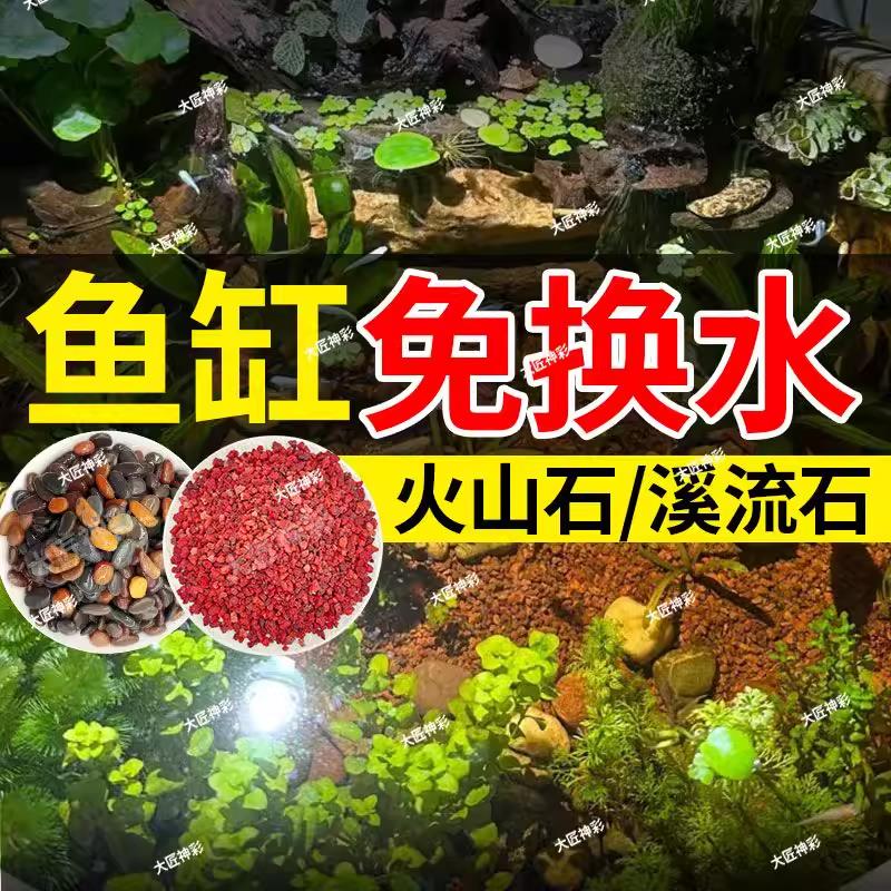 原生火山石溪流石鱼缸造景装饰专用底砂铺底颗粒生态溪水水质植物