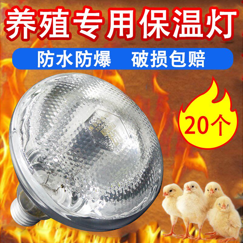 养殖场专用保温灯小猪取暖灯泡猪场加热保暖灯烤灯小鸡育雏保温灯