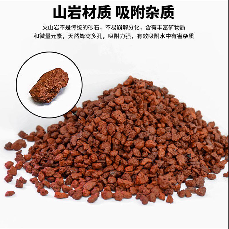 广西火山岩颗粒多肉天然铺面石鱼缸水族箱过滤兰花种植土红色垫底