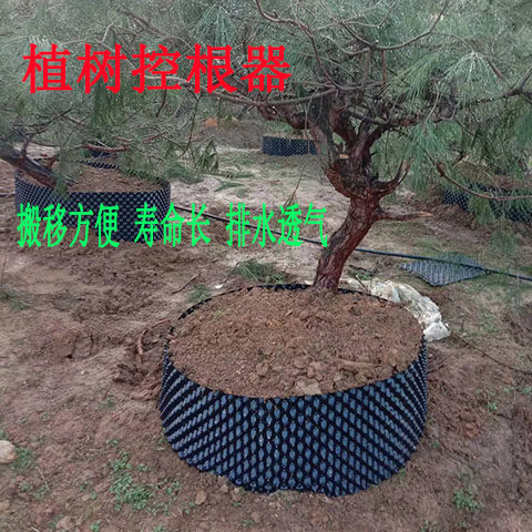 植物控根器厂家直销控根器塑料围槟榔树植树控根器专用围树板园林