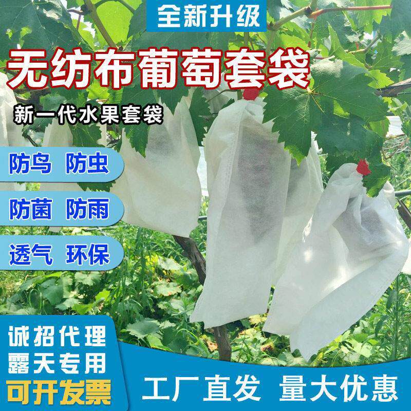 厂销露天无纺布葡萄套袋防虫防鸟葡萄袋防水育果袋莲雾柚子专用袋