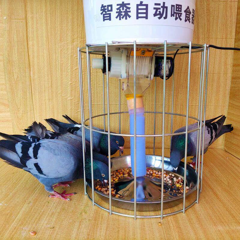 鸽子自动喂食器防撒食槽信鸽投食神器用品用具大全喂鸡专用食盒