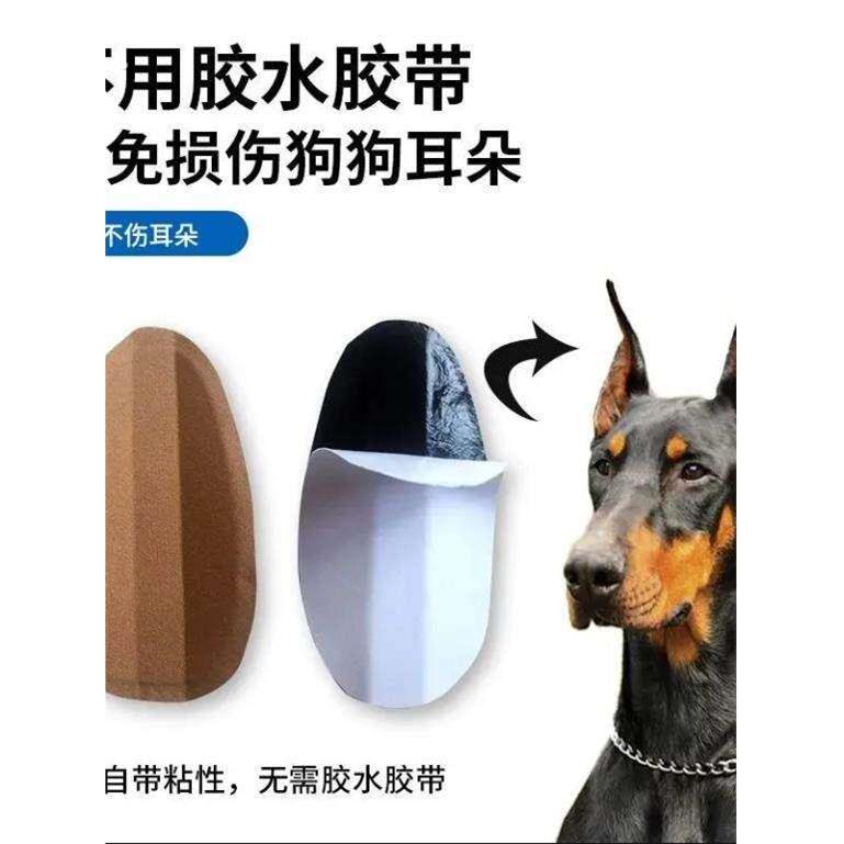 马犬专用狗狗立耳器杜宾德牧辅助立耳神器幼犬竖耳撑耳朵固定器