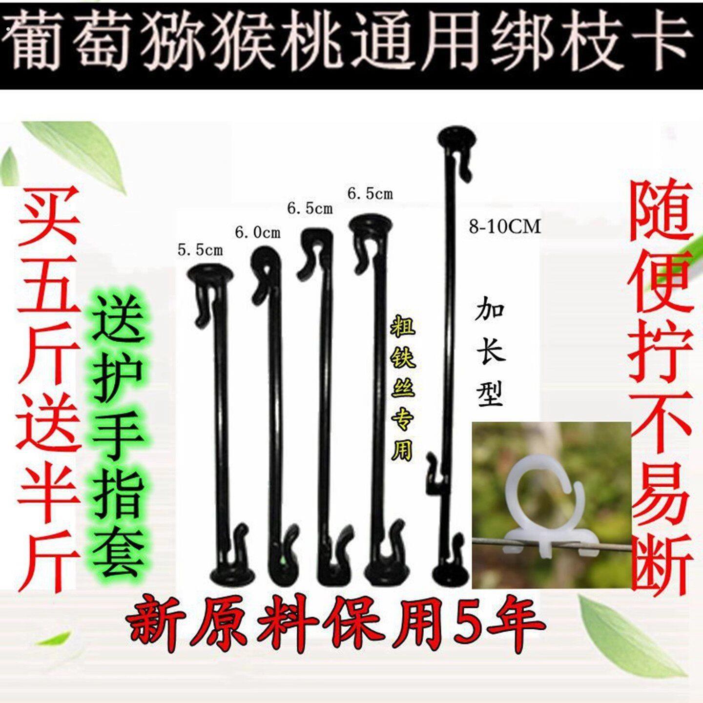 葡萄绑枝卡蓝莓绑蔓卡猕猴桃枝蔓固定卡绿植塑料绑枝器绑枝丝卡扣