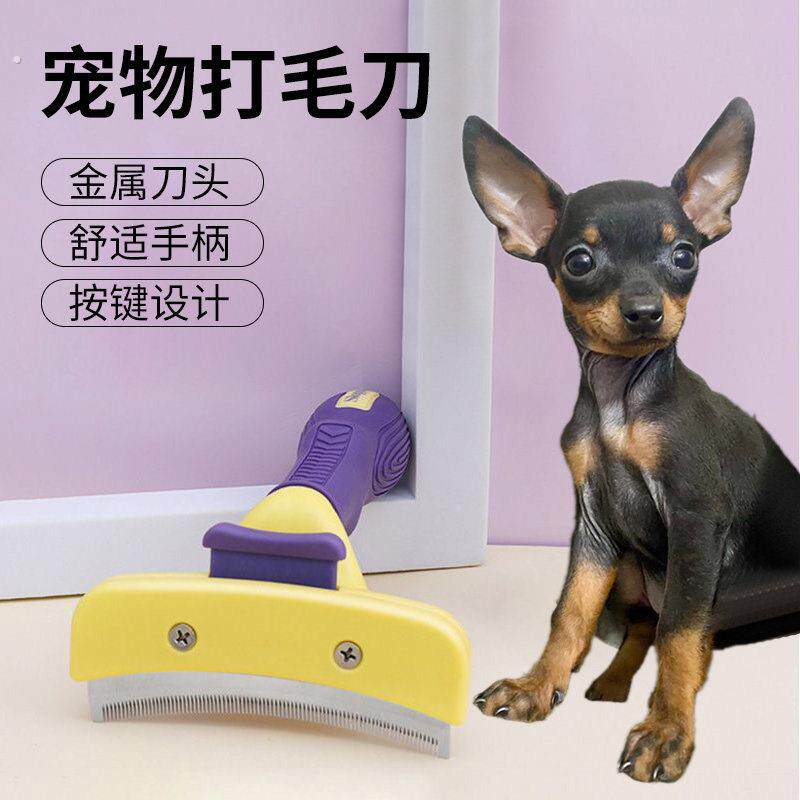 短毛狗专用梳子小鹿犬吉娃娃去狗毛梳毛除毛刷美容神器宠物刮毛器
