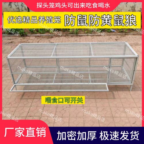 鸡笼家用室内防黄鼠狼自动出蛋饲养笼铁丝网鸽子鸭兔不锈钢养殖笼