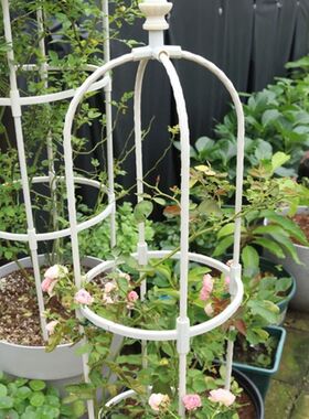 种植箱爬藤架花爬架金银花户外院子花架藤蔓植物爬藤支花架子种花