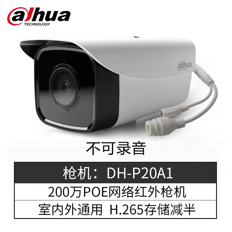 大华200万网络poe供电高清夜视监控摄像头室外防水摄影头DH-P20A1