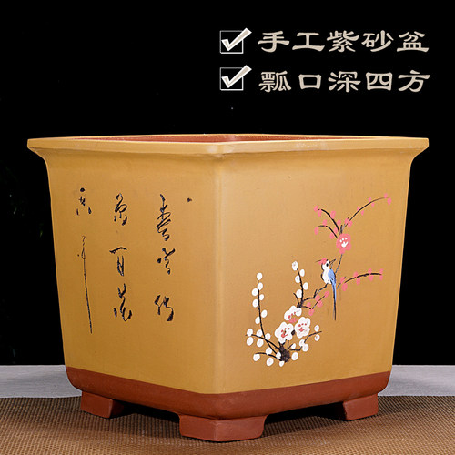 紫砂四方盆景花盆特大号加深老桩兰花金撢子悬崖桩透气园林绿植盆